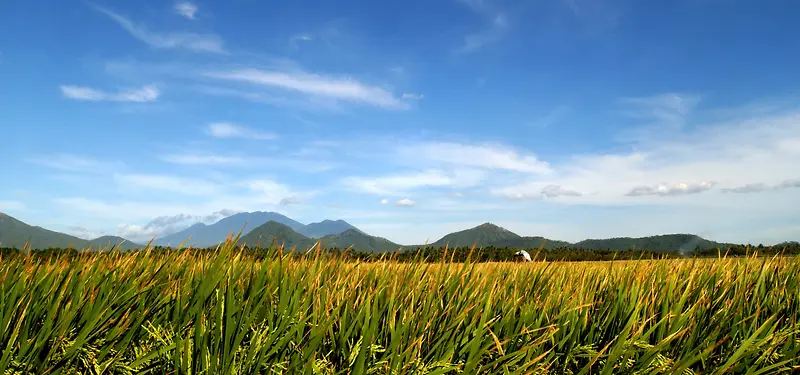 ��Ʒ����-������