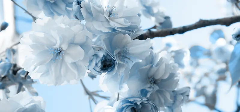 ��Ʒ����-������