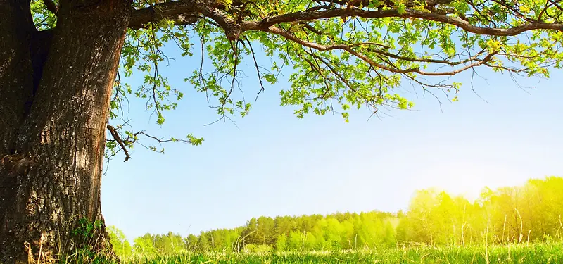 ��Ʒ����-������