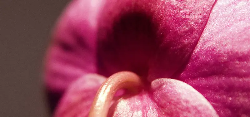 ��Ʒ����-������