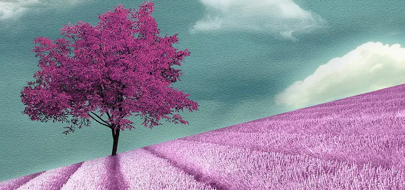 ��Ʒ����-������