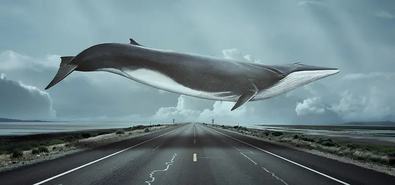 ��Ʒ����-������