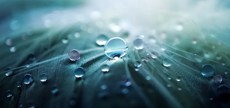 ��Ʒ����-������