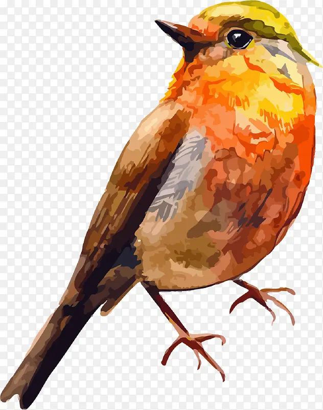 ��ɫ����-������