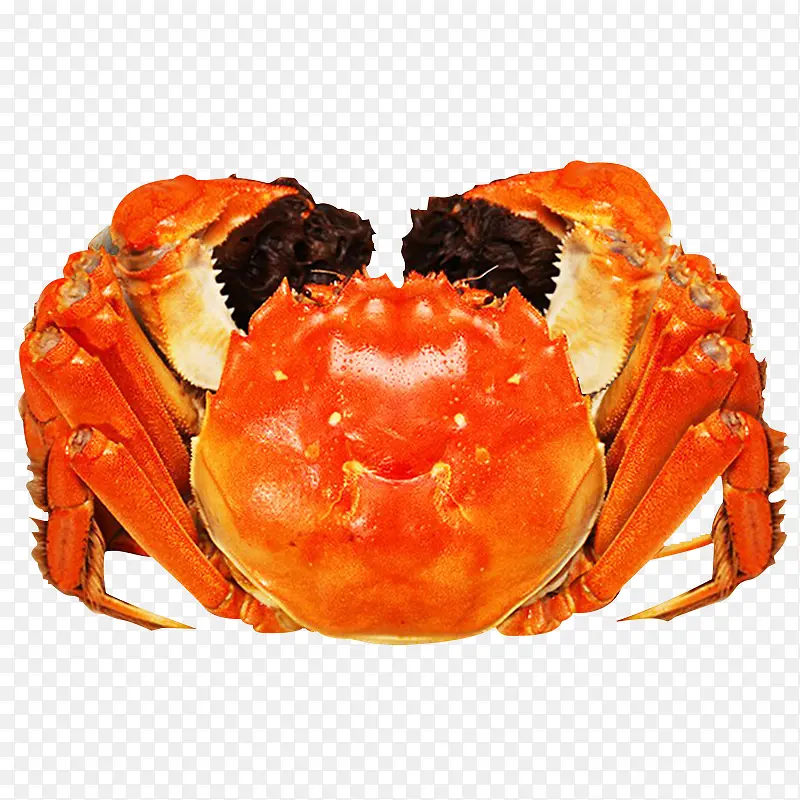 ������Ӱ��ɫ�Ĵ�բз-������