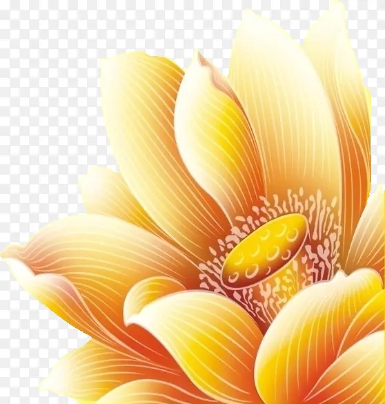 �ϳɴ����ʸг�ɫ�ĺɻ�-������