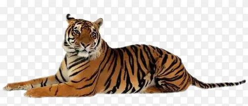 �ϻ�����֮��-������