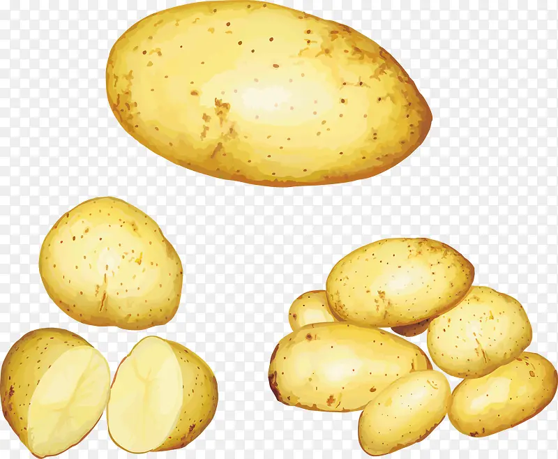 ʸ�������ز�-������