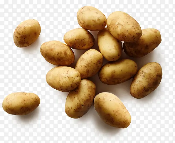 �����߲�-������