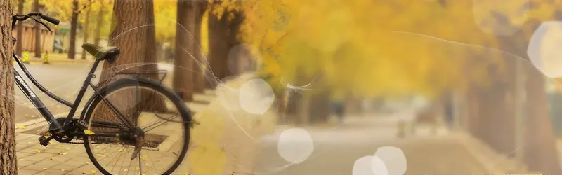 �λñ���-������