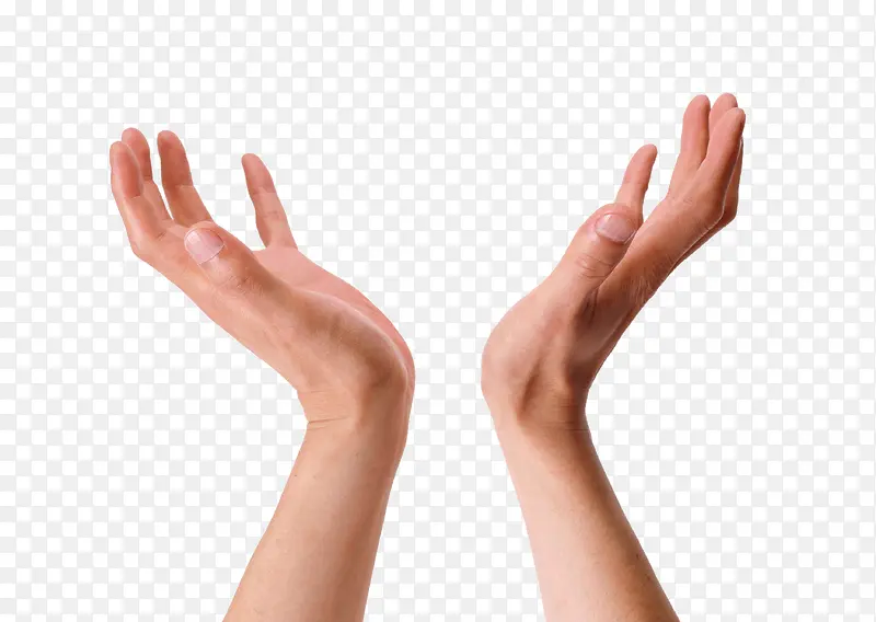 ��ָ-������