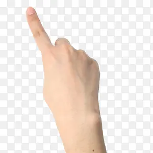 ��ֽ-������