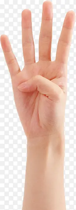 �����ĸ���ָ����-������