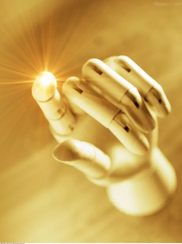 ��ɫ��ָʳָ���-������