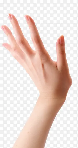 �޳���ָ�ز�-������