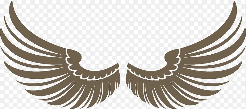 ����ɫ����ز�-������