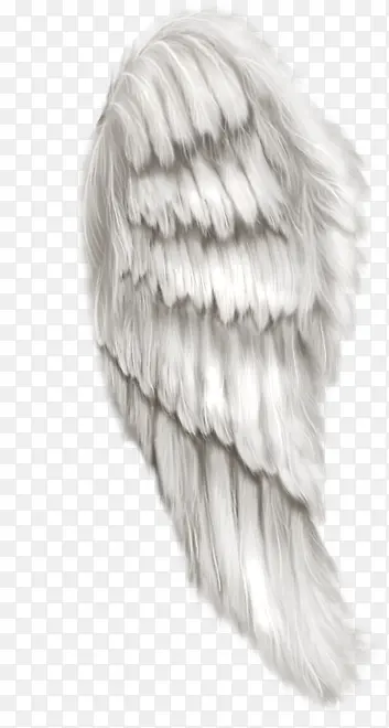 ��ë����ز�-������