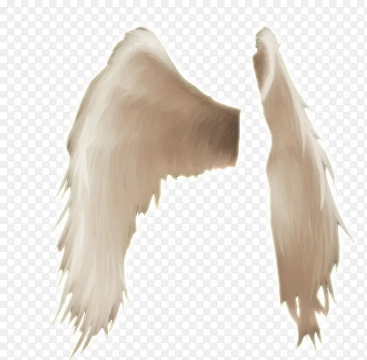 ���ͼƬ�ز�-������