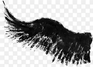 ���ī��png�ز�-������