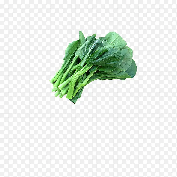 �Ͳ�-������