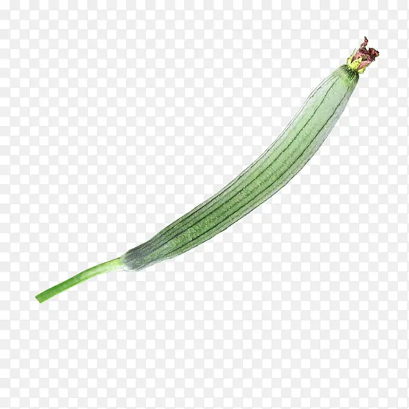 ˿��-������