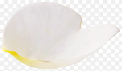 ��ɫ���⻨��-������