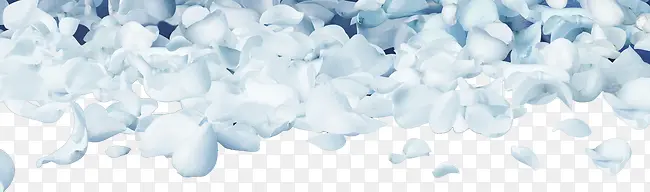 ��ɫ����-������