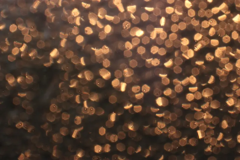 Ψ�� ���-������