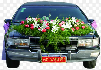 �����鳵������ӰЧ��-������