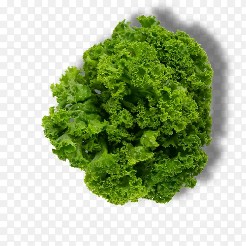 ����-������