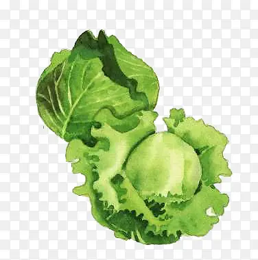 �����߲����-������