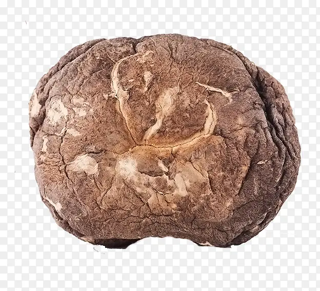 �㹽�ɻ�-������