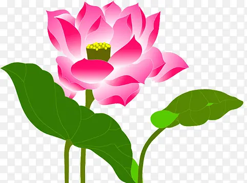 �ɻ��̳�����չ��-������