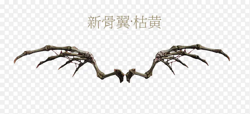 �¹����ݻƳ��չ��-������