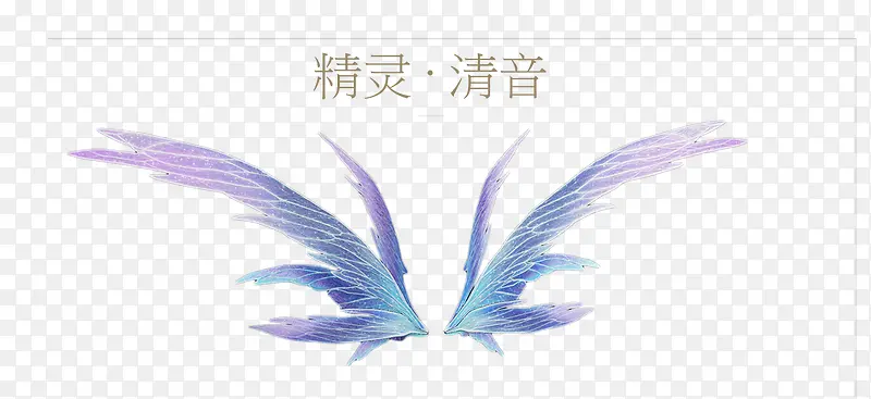 �����������չ��-������