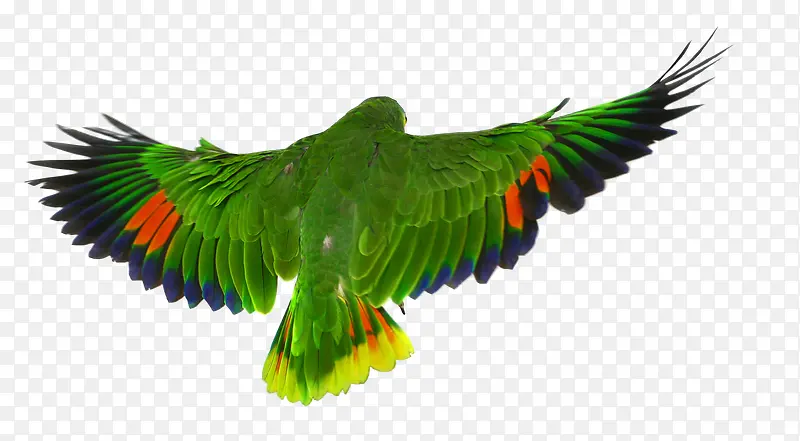 չ�������-������