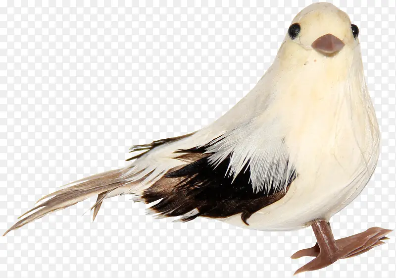 ��ɫ���ɫС��-������