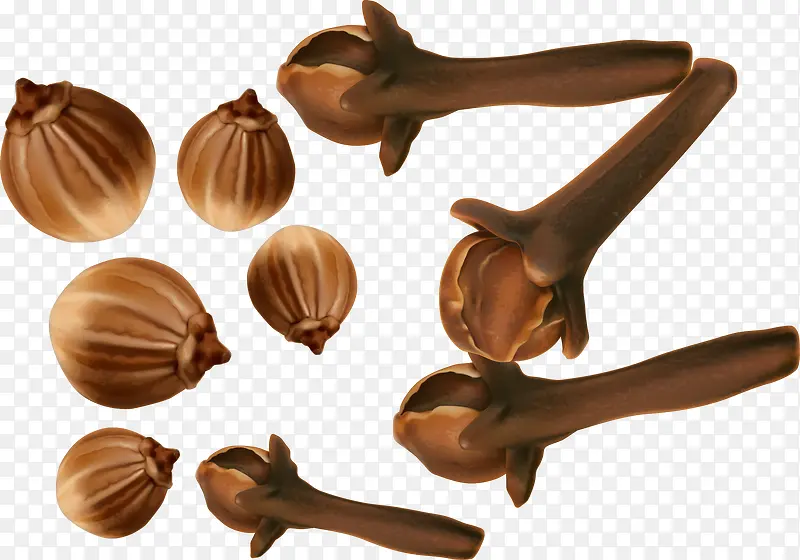 ʸ���й����ϵ�ζ���ز�-������