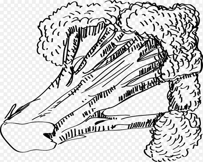 �ֻ��߲˲˻�-������