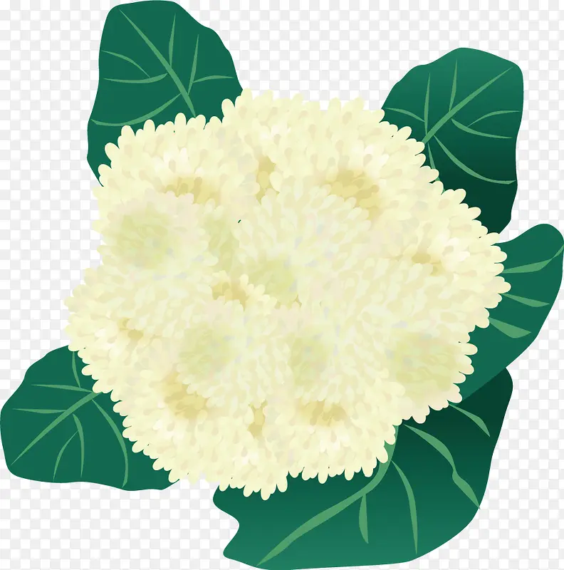 �ֻ��߲˲˻�-������