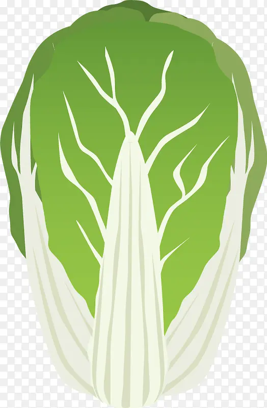 �ֻ��߲˰ײ�-������