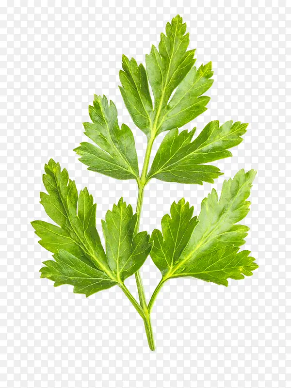 �ֻ������ɫ�߲�-������