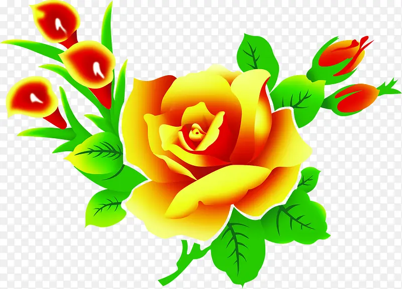 �ֻ��ɫõ�����տ�Ƭ-������