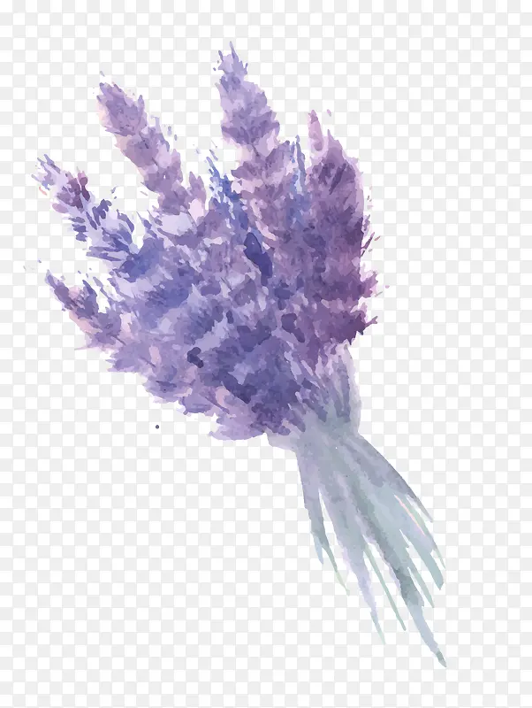 ޹�²�-������