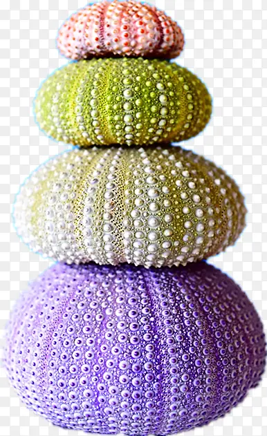 ��ɫ����-������