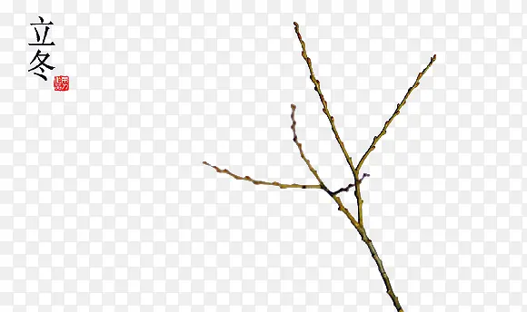 ������-������