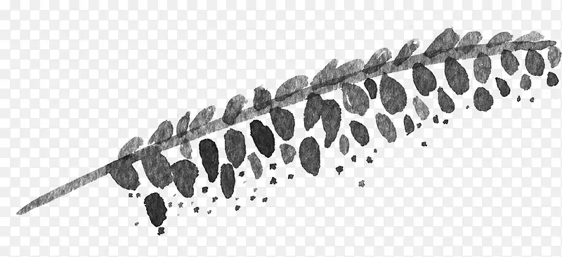 ī��С��֦Ԫ��-������