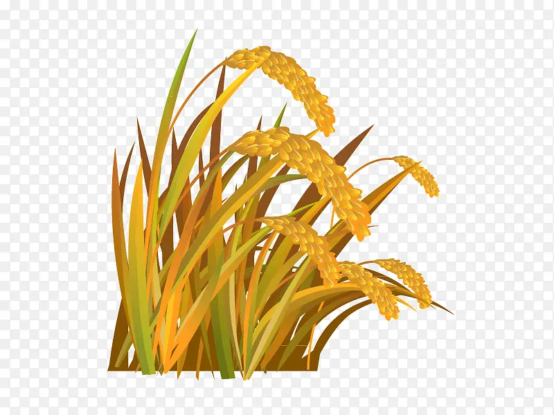 ˮ����ͨʸ���ز�-������