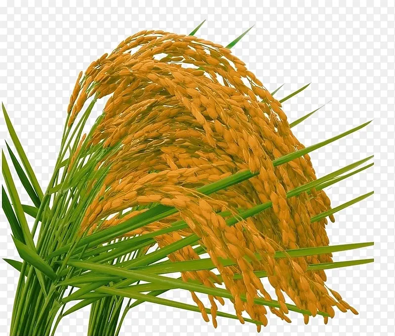 ˮ��-������