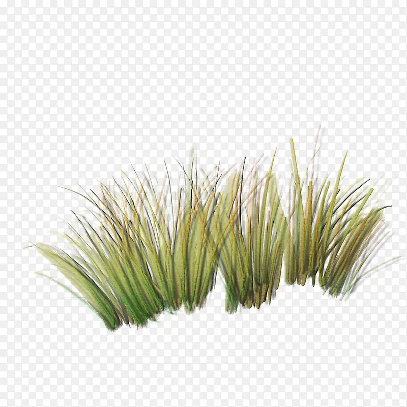 ��-������